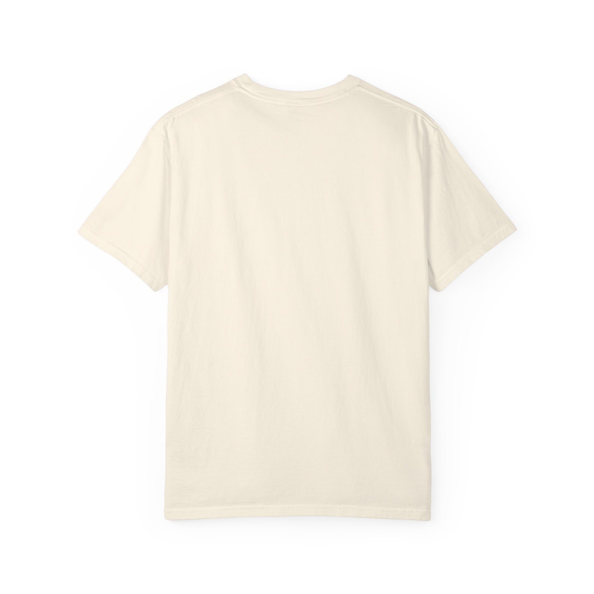 Waterfall Voyager T-Shirt