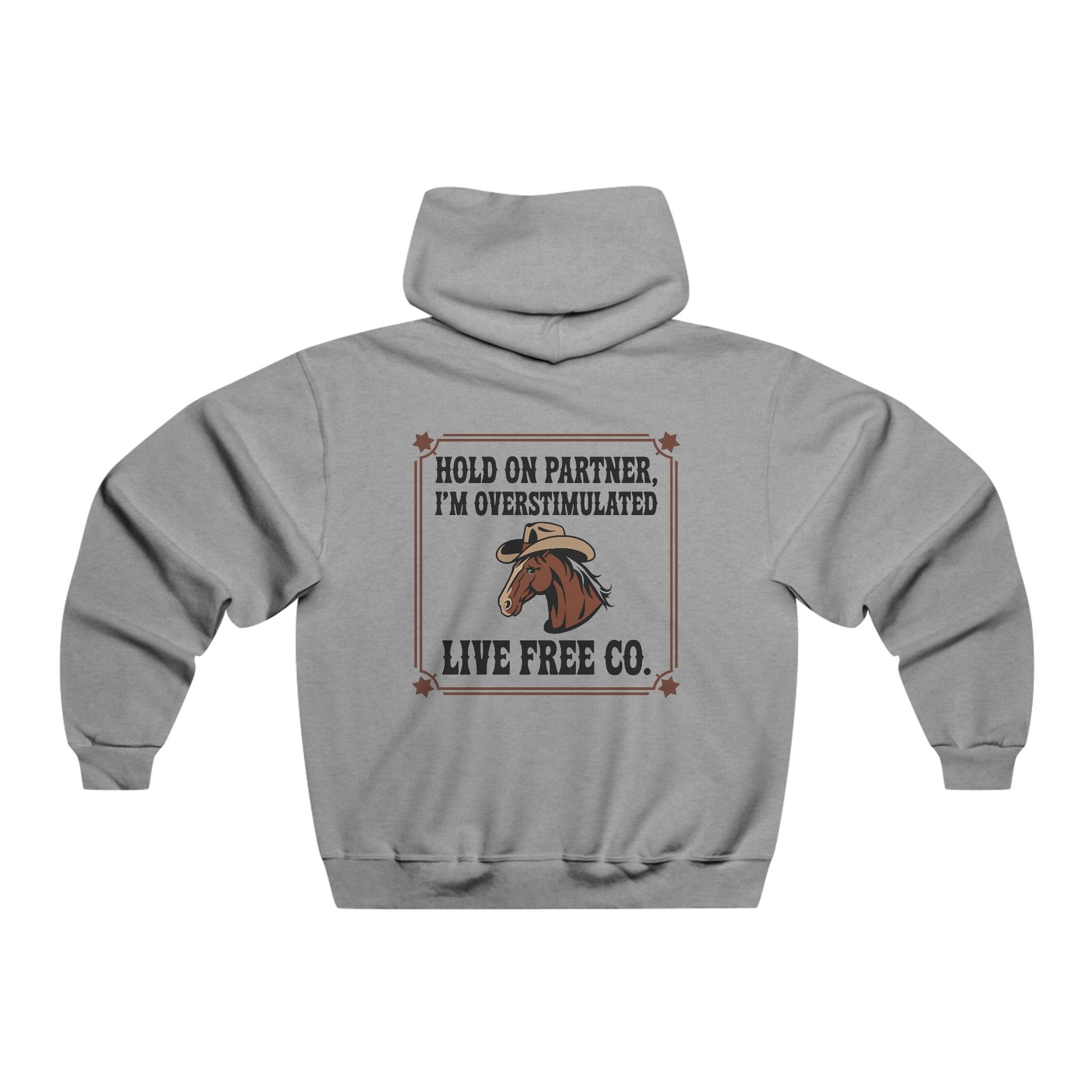 Stetson State of Mind Hoodie
