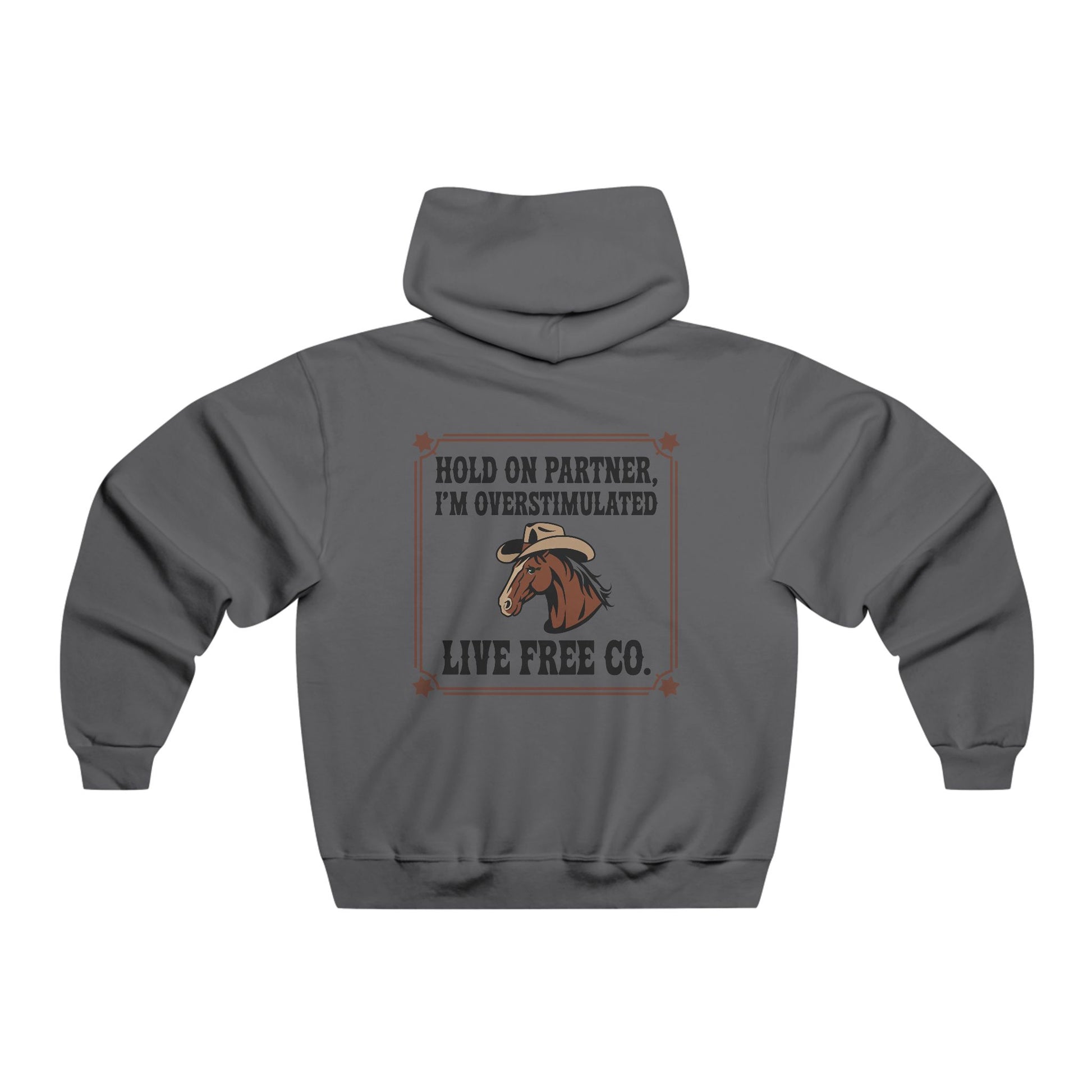 Stetson State of Mind Hoodie