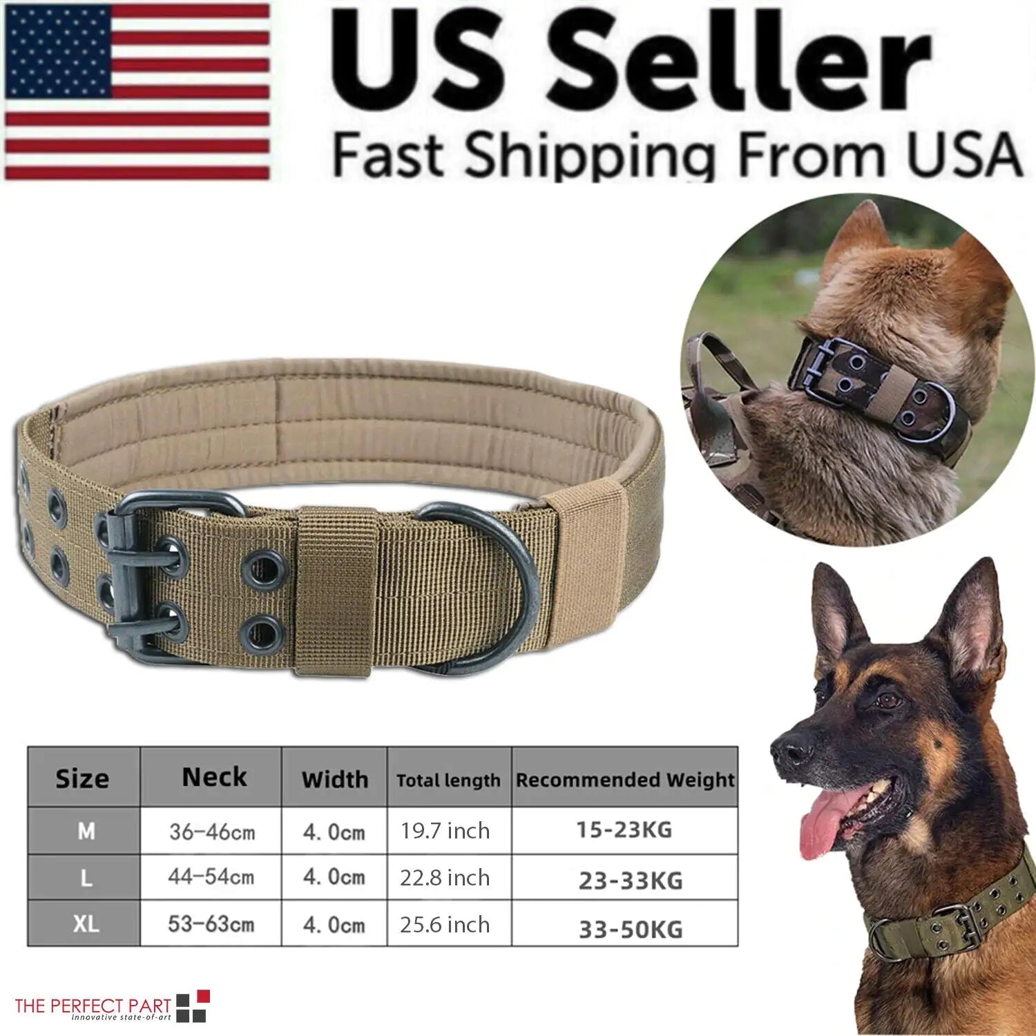 2"  Dog Collar