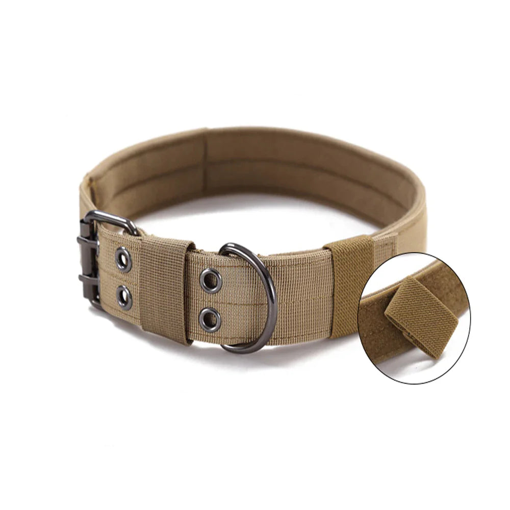 2"  Dog Collar