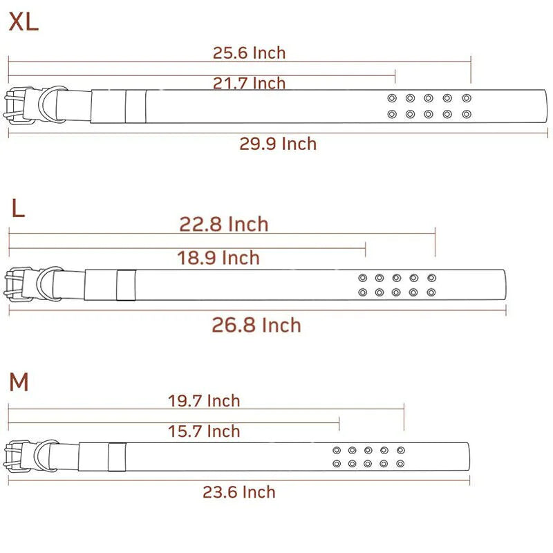2"  Dog Collar