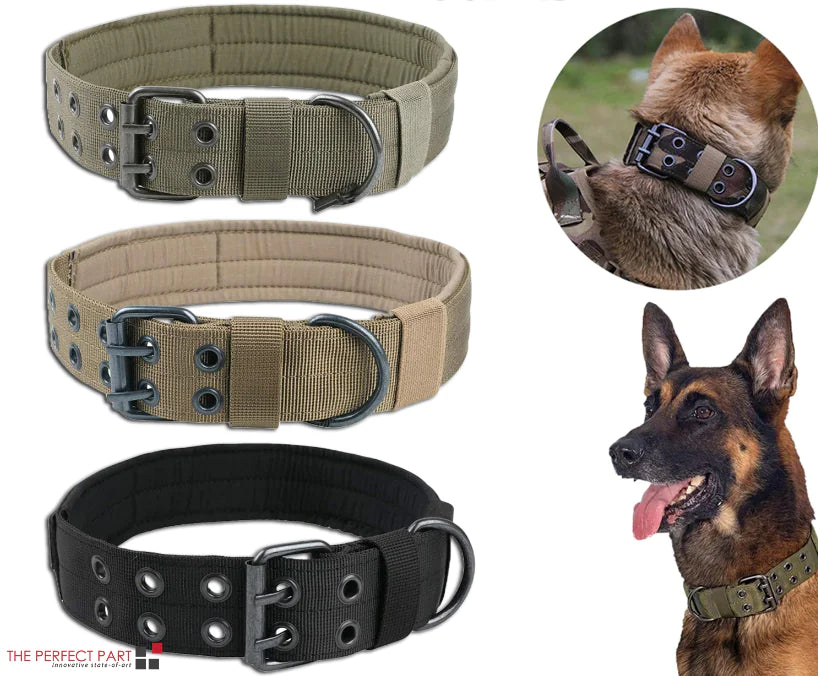 2"  Dog Collar
