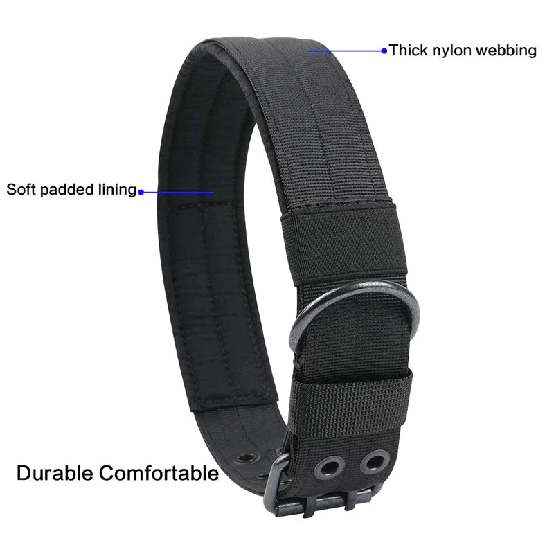2"  Dog Collar