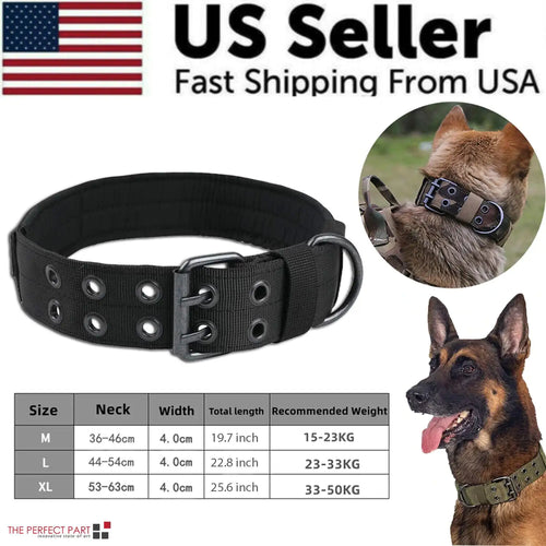 2"  Dog Collar