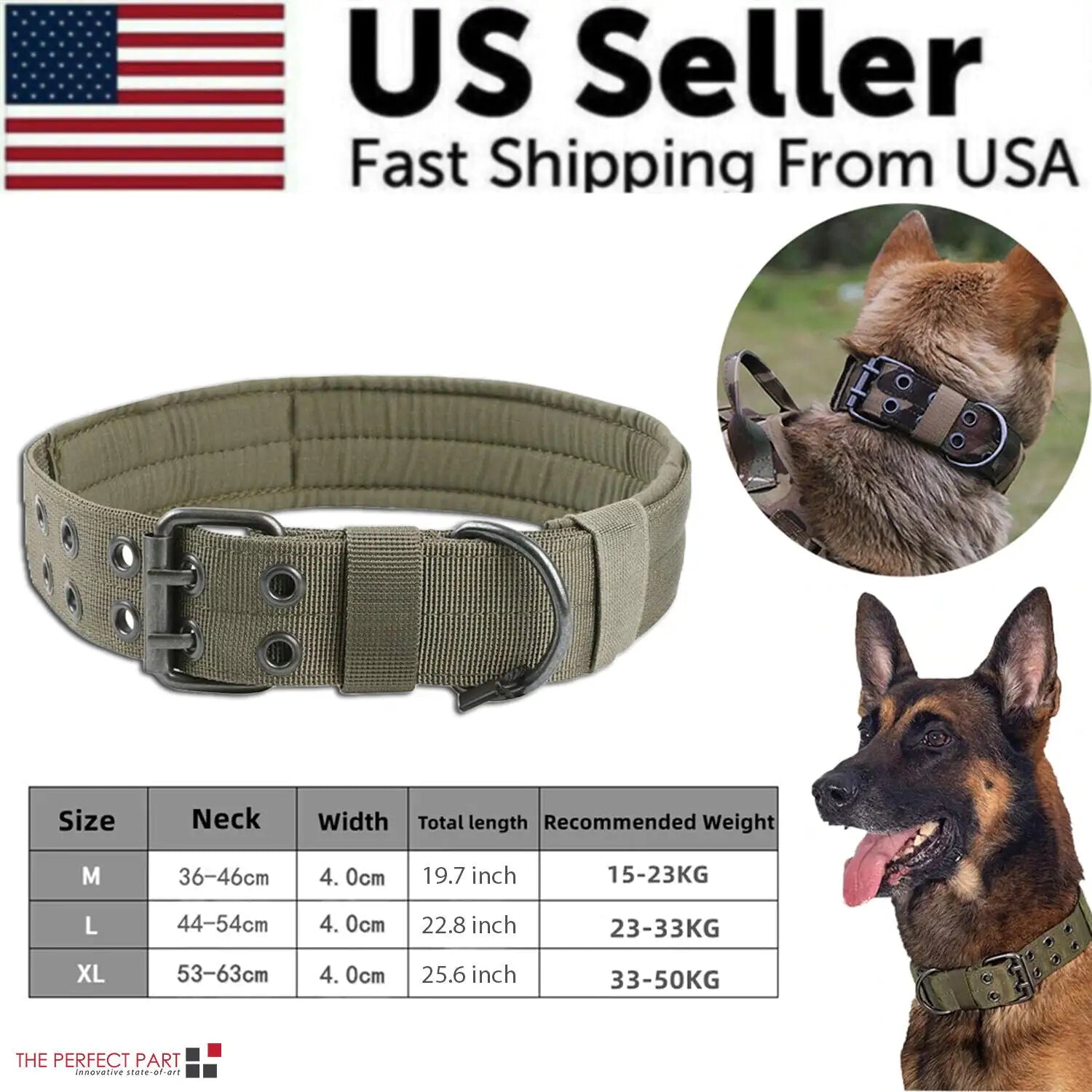 2"  Dog Collar