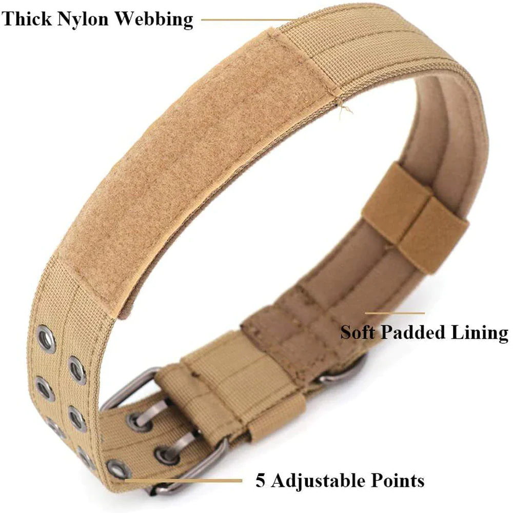 2"  Dog Collar